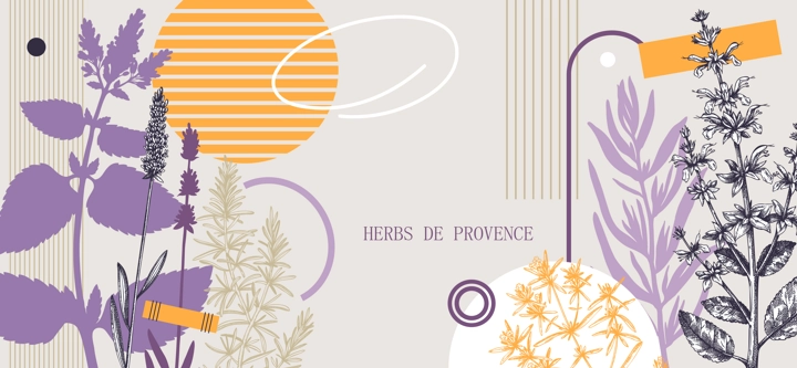 Collage-style Provence herbs background. Herbal plants hand-drawn vector illustrations. Artistic frame with sage, peppermint, rosemary, lavender sketches. NOT AI generated